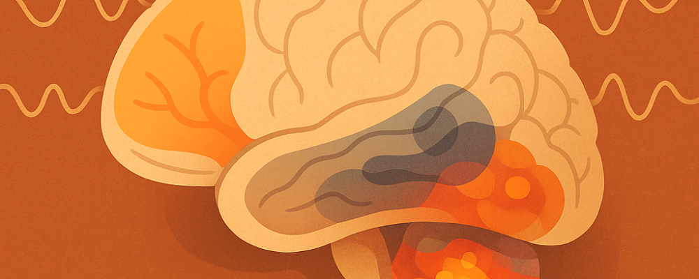 Stylizowany przekrój mózgu z podświetloną korą przedczołową, układem limbicznym i falami mózgowymi – ilustracja neurobiologii hipnozy.